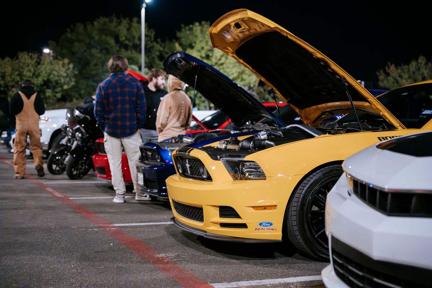 Row of modified cars with open hoods displayed at a nighttime car meet.