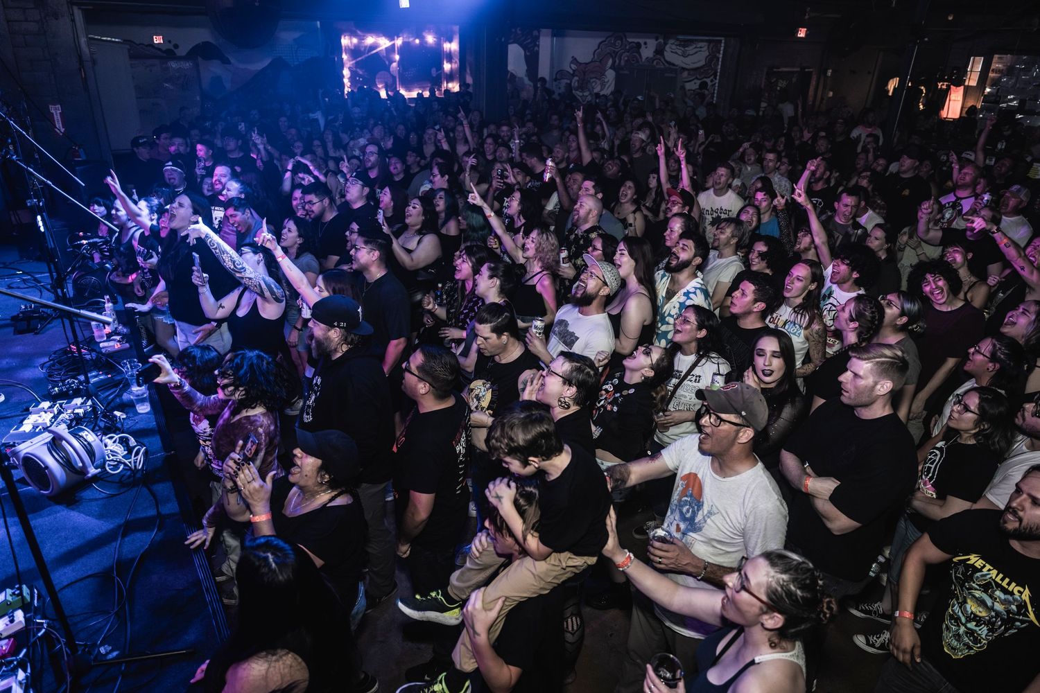 A packed nightclub crowd with raised hands illuminated by purple stage lights during an energetic concert performance.