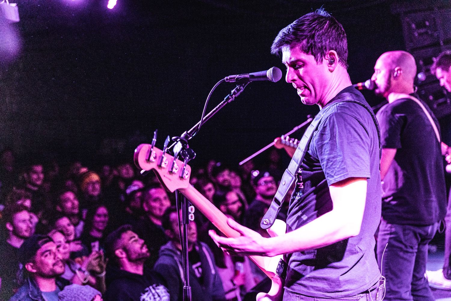 Musician plays guitar under purple stage lights with crowd visible in foreground.