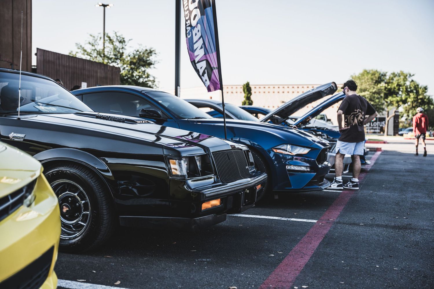Row of classic and modern cars on display at an outdoor car meet.