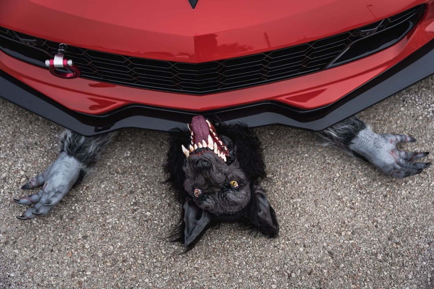 Black cat lying underneath the front bumper of a red sports car.