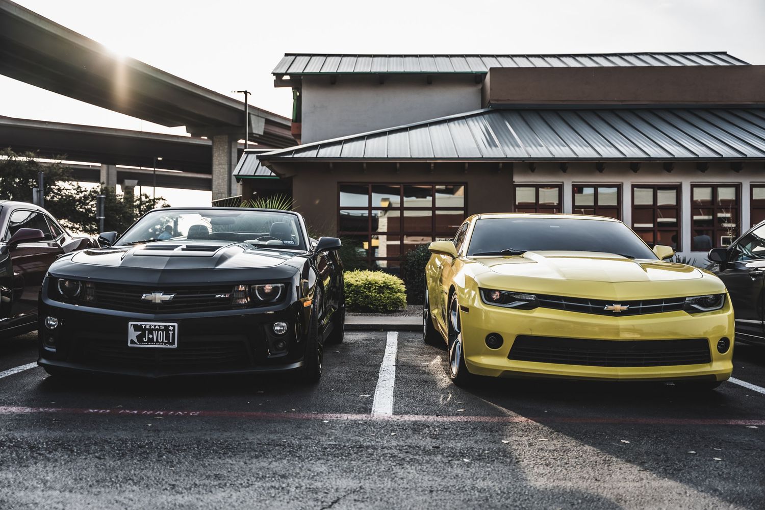 Black and yellow Chevrolet Camaros parked side by side at a Japanese-style building.