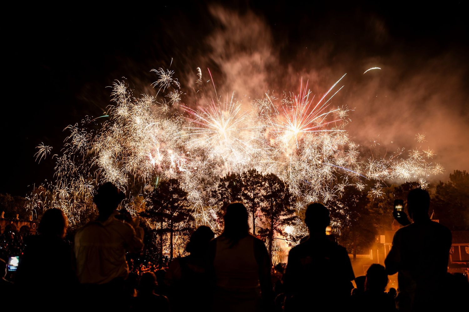 Vibrant fireworks illuminate the dark night sky above silhouetted trees creating a dramatic display of color and light.