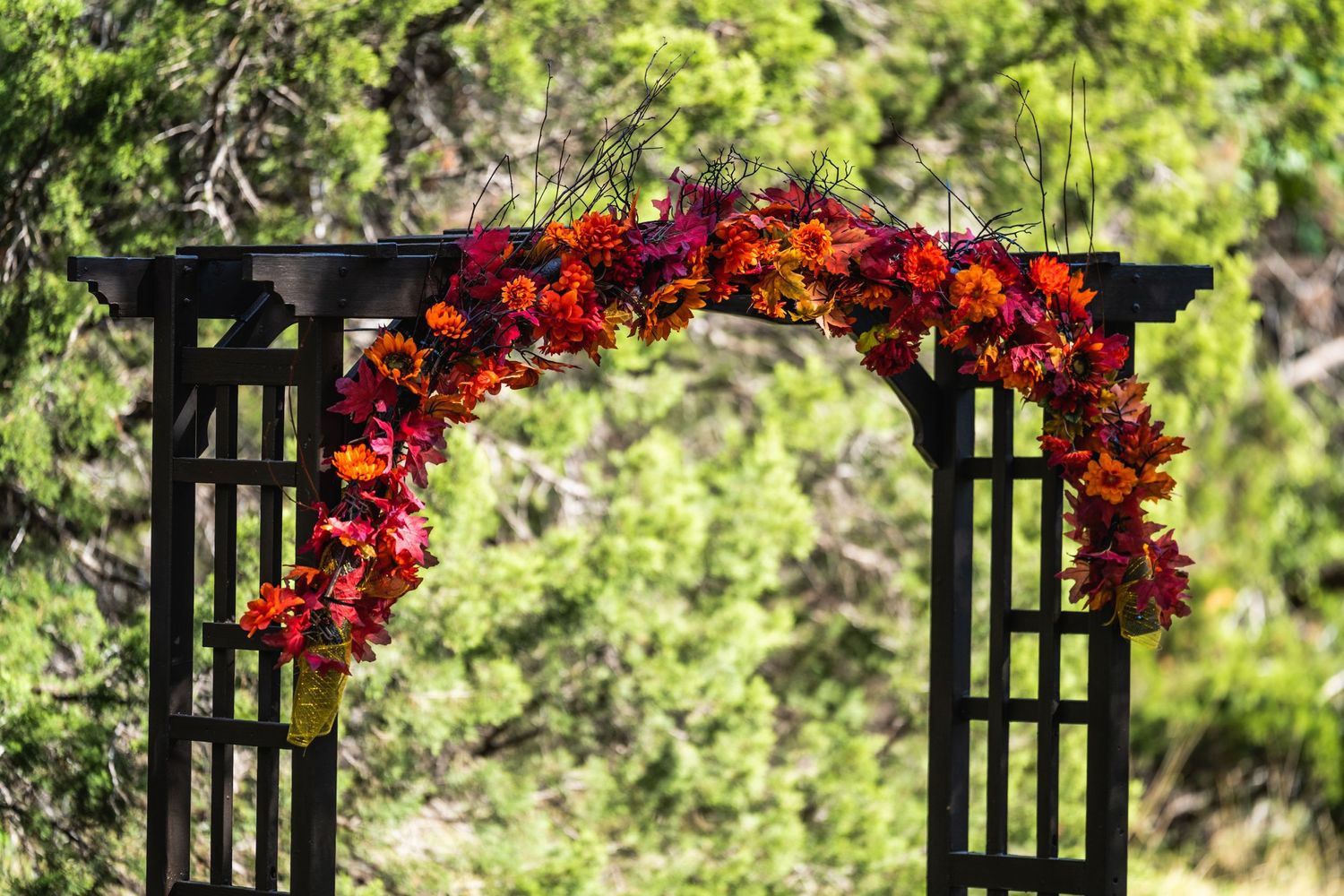A black garden arch decorated with vibrant red and orange flowers against lush green foliage.