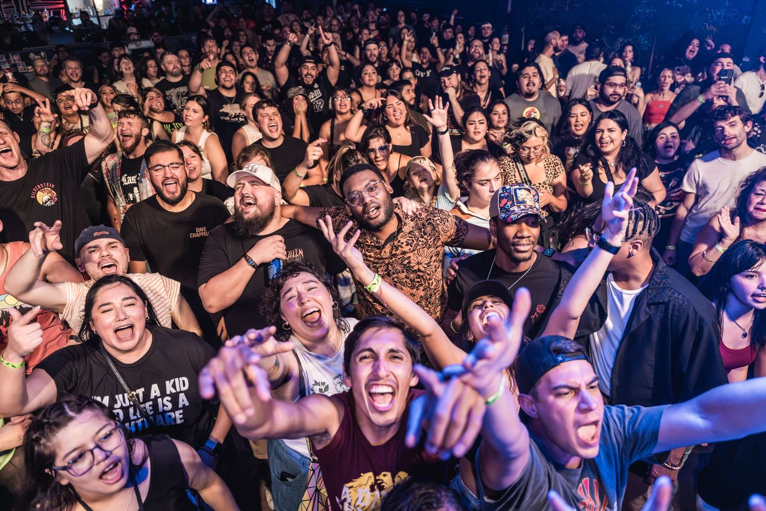 Enthusiastic crowd at a rock concert with hands raised and excited expressions.