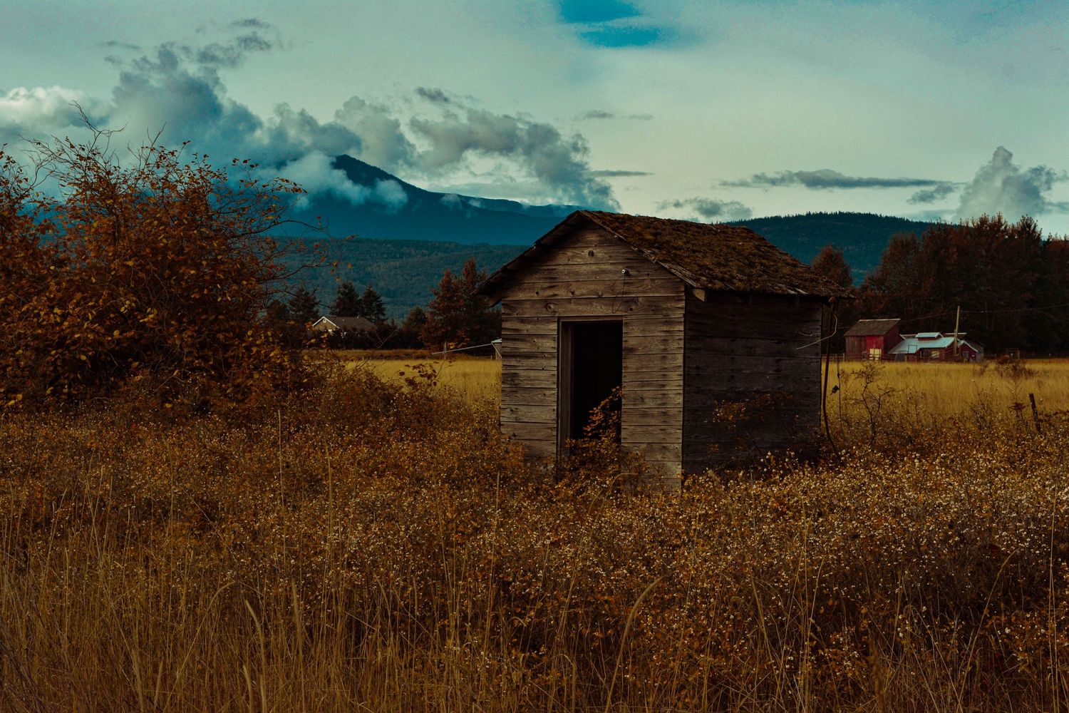 Old wooden shed in autumn field with mountains and cloudy sky in background.