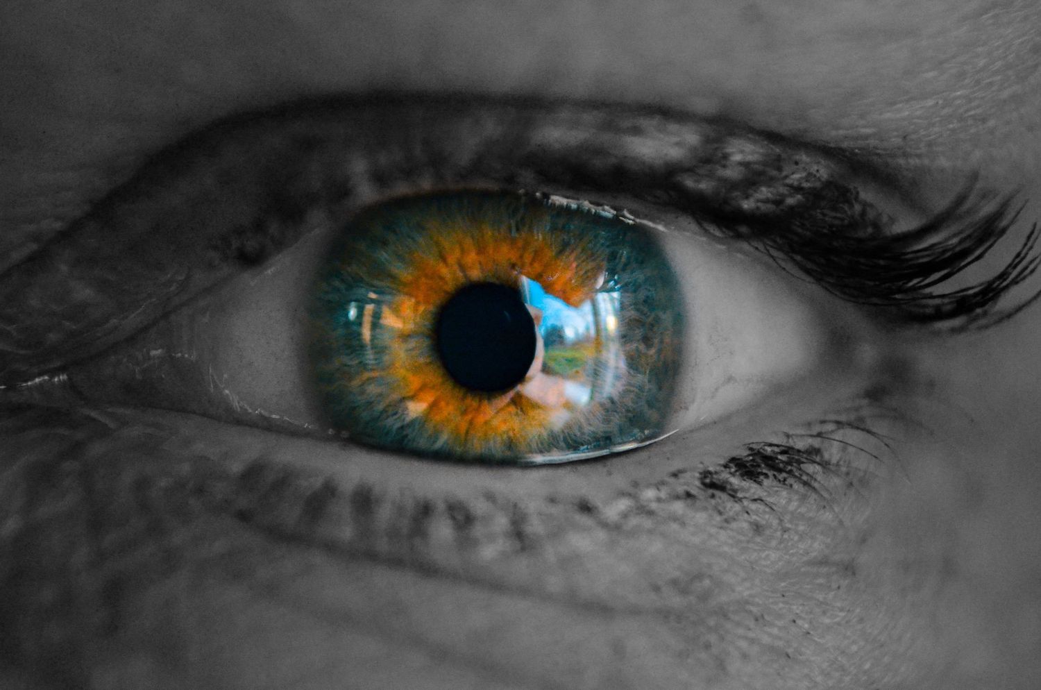 Extreme close-up of a blue and amber colored human eye with selective coloring.
