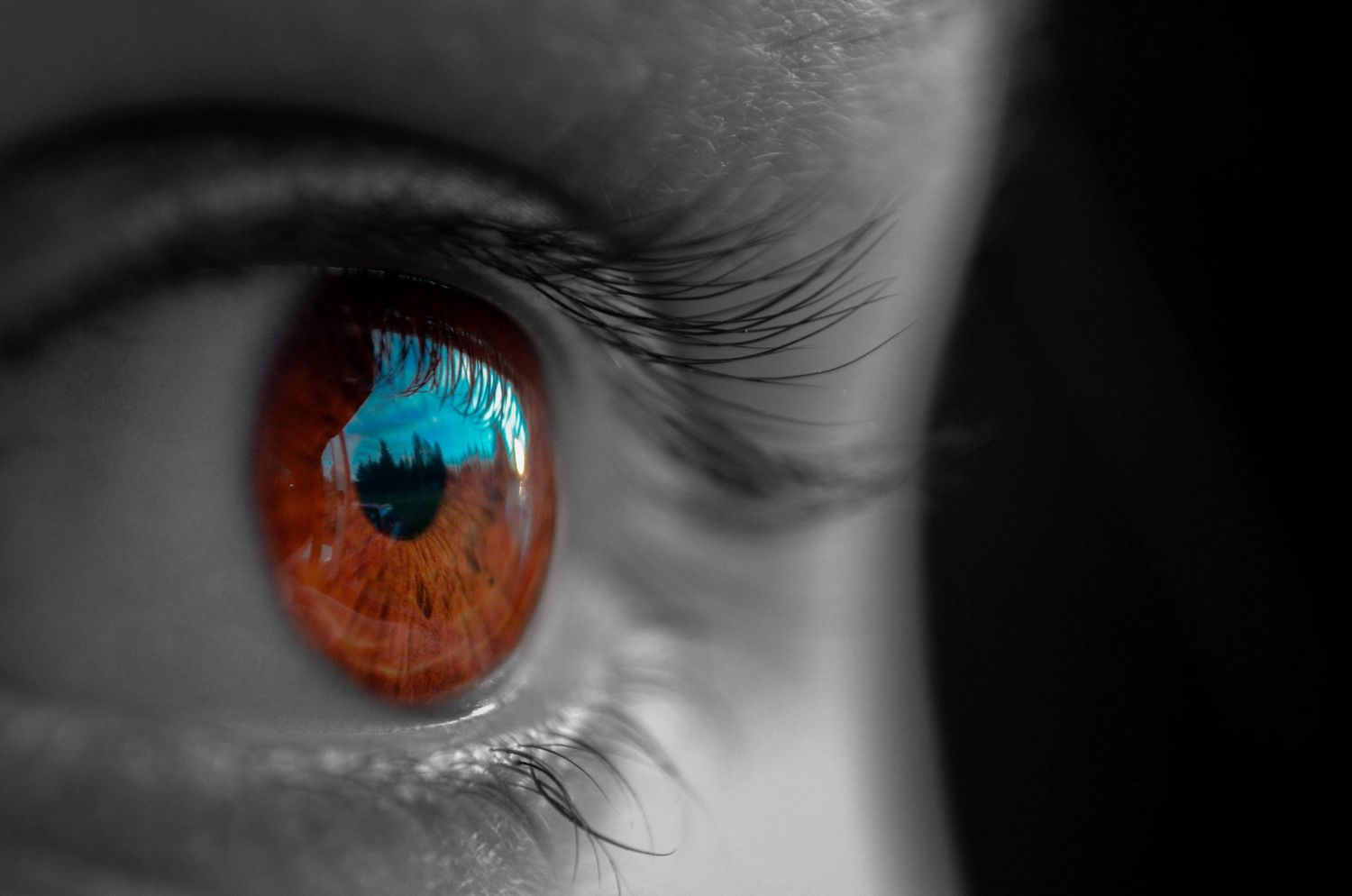 Extreme close-up macro shot of a human eye with brown iris.