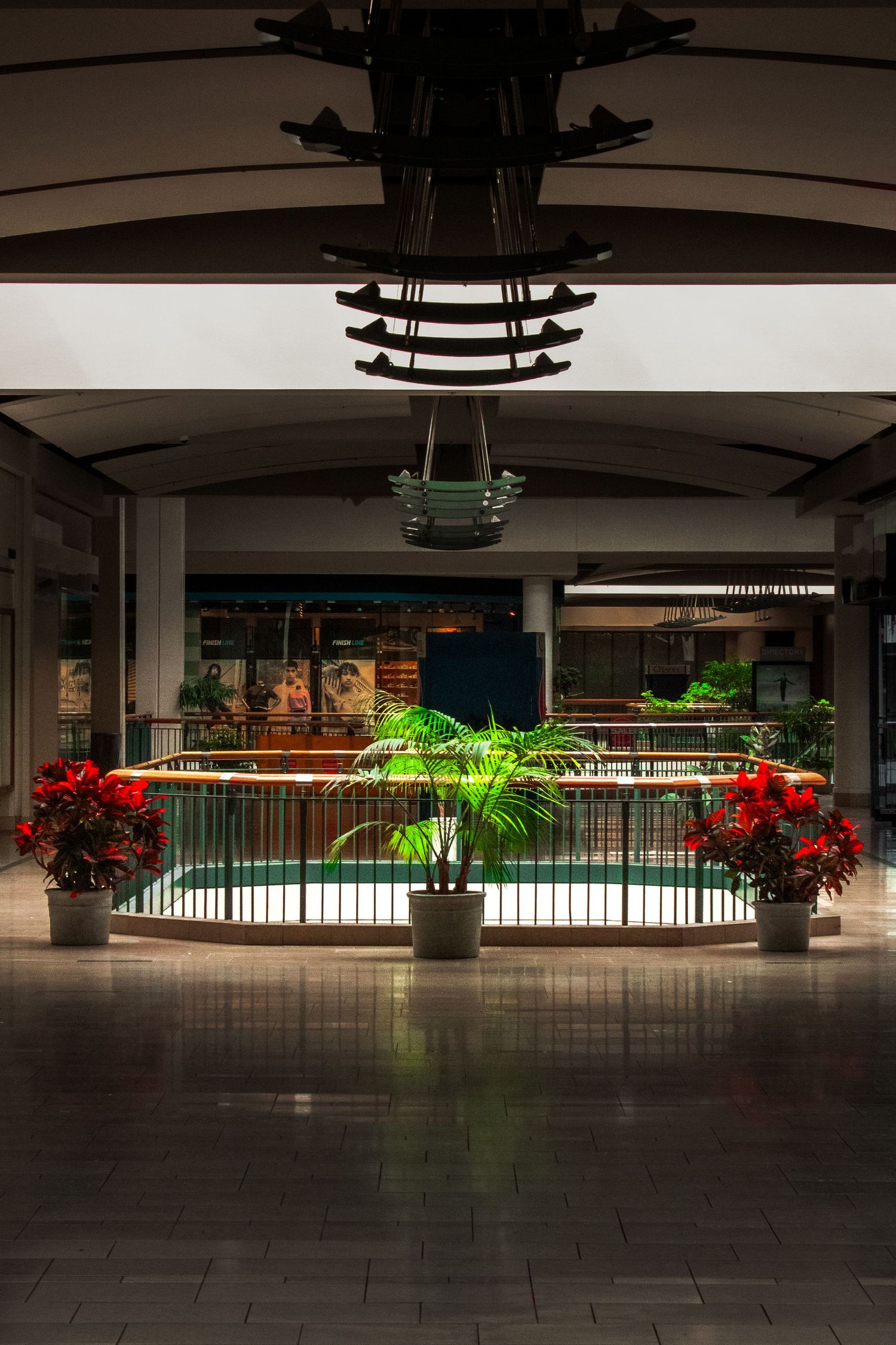 Empty mall interior with illuminated palm plant and red poinsettias around a glass railing at night.