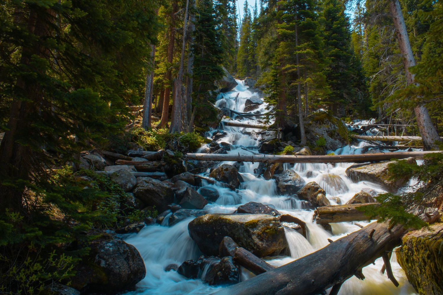 Cascading waterfall flows through snowy forest landscape with rushing water over rocky terrain.