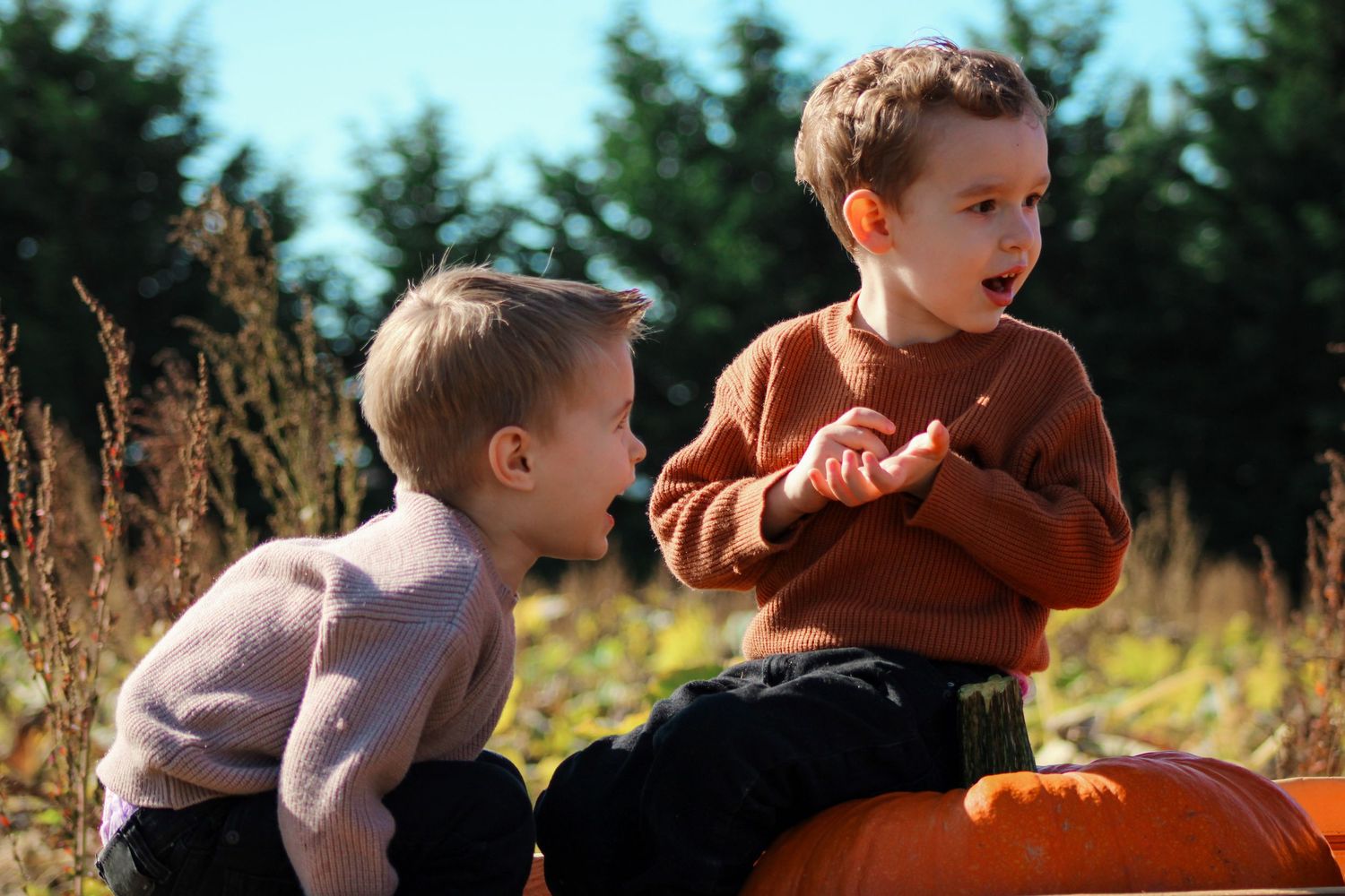 Two children sitting by pumpkins showing excited expressions in an autumn field.