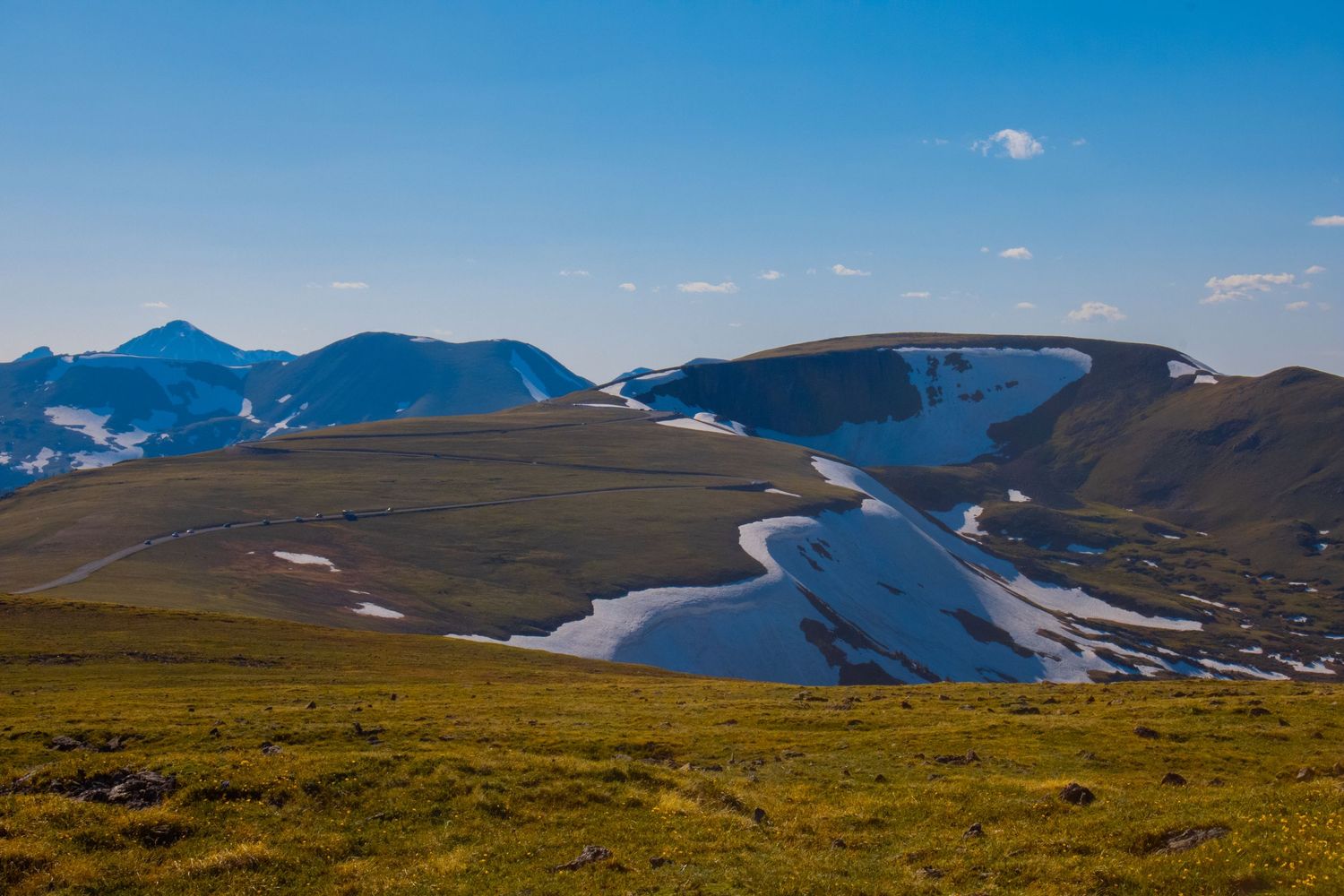 Rolling alpine tundra with patches of snow and mountain peaks in the background.
