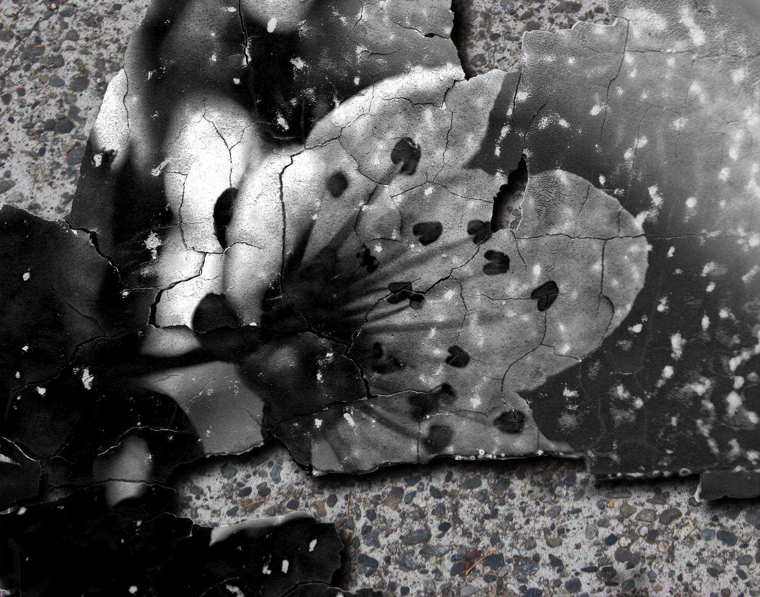 Abstract black and white texture with scattered dots and streaks.