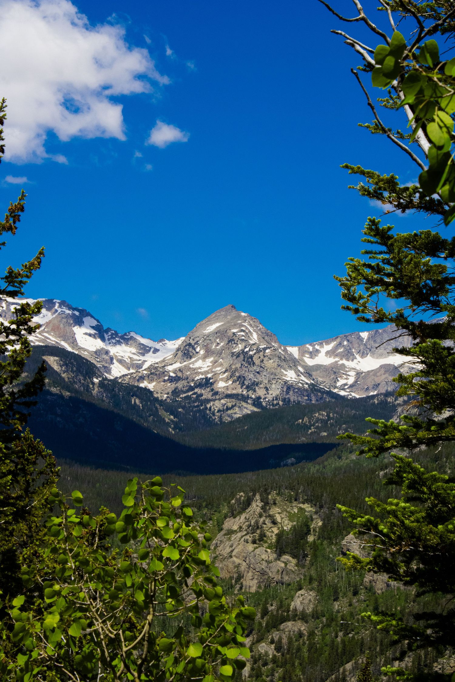 Majestic mountain range with snow-covered peaks rising above forested slopes under perfect blue skies.