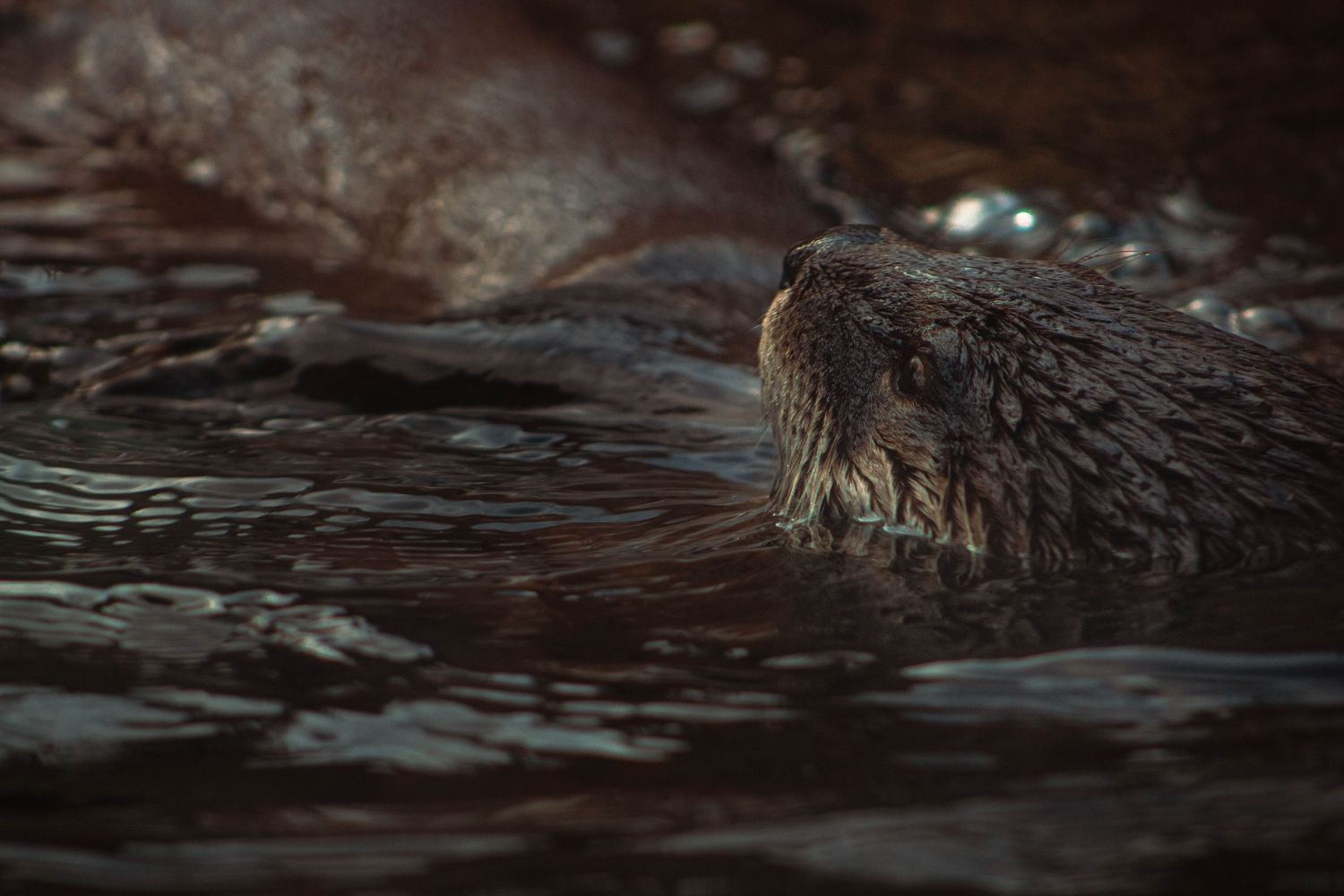 Rippling dark water surface with subtle reflections creating an abstract pattern.