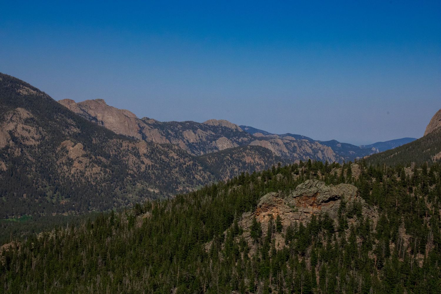 Panoramic view of mountain ridges covered in dense pine forest stretching into the distance.