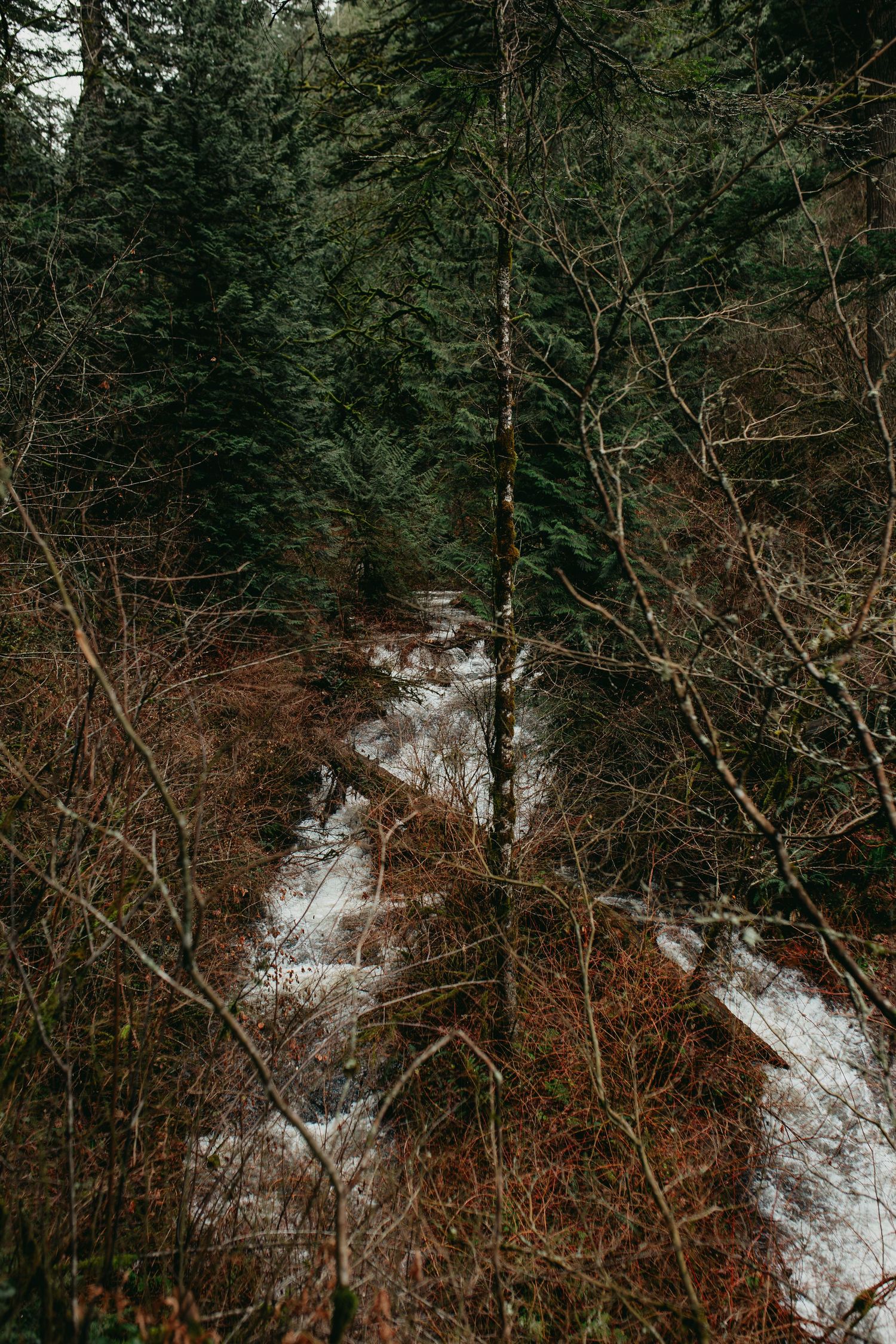 Laturell Falls, Oregon