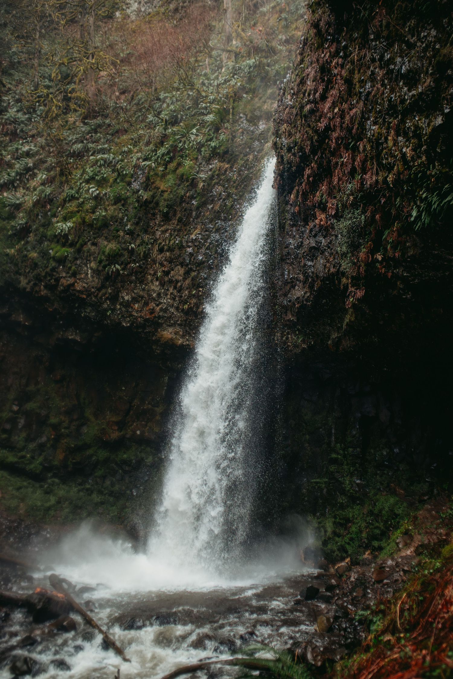 Laturell Falls, Oregon