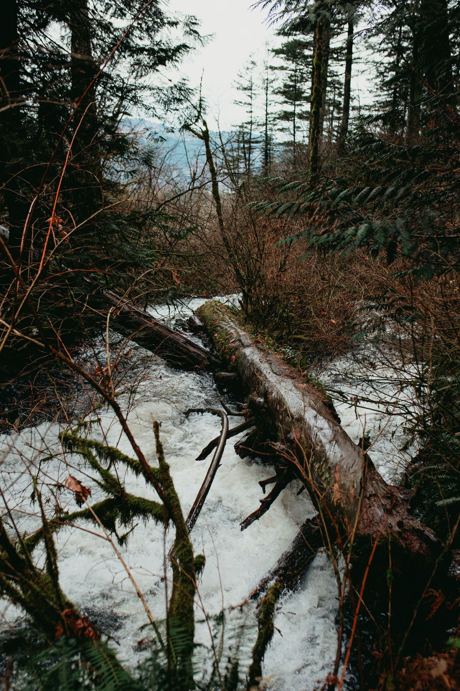 Laturell Falls, Oregon