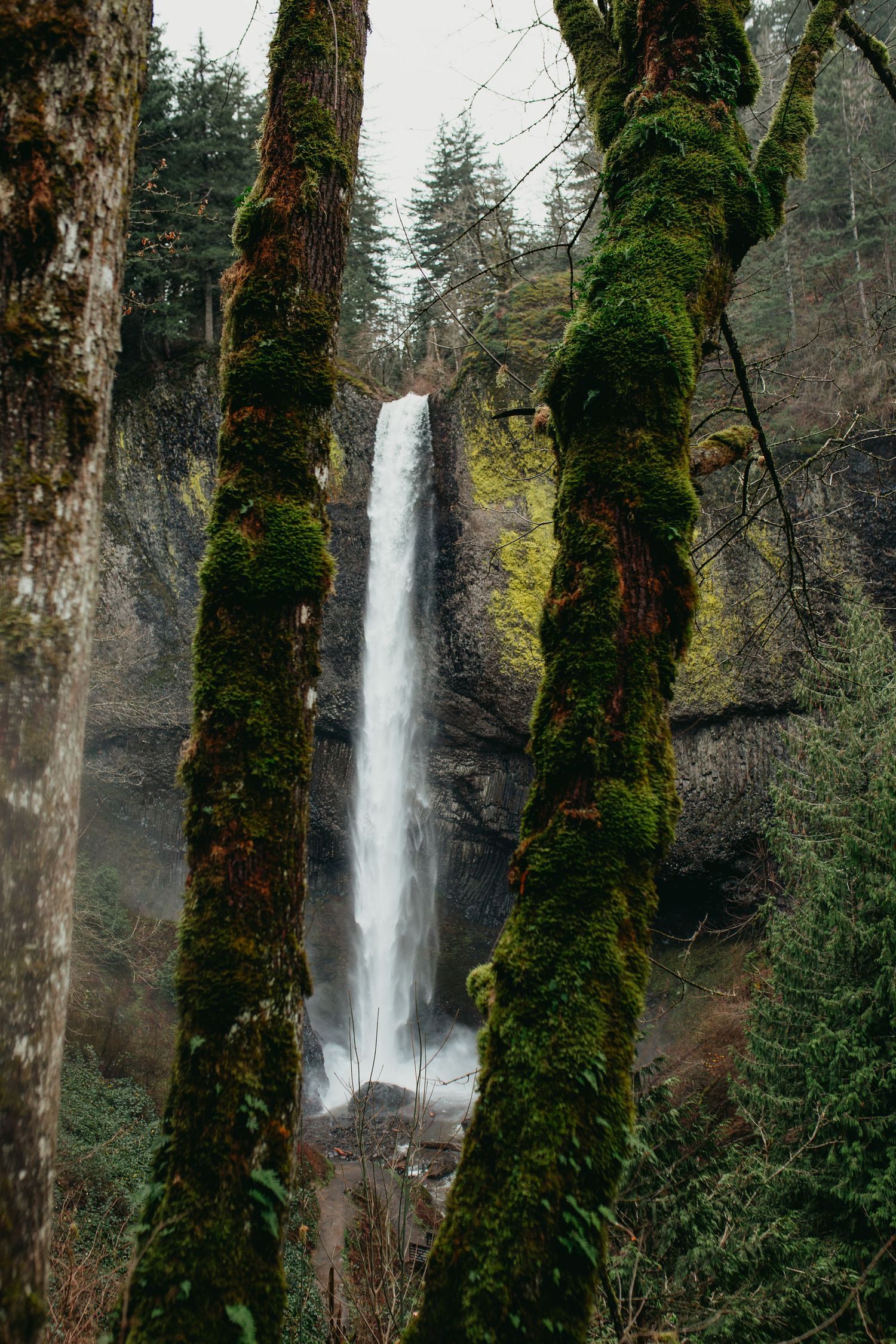 Laturell Falls, Oregon
