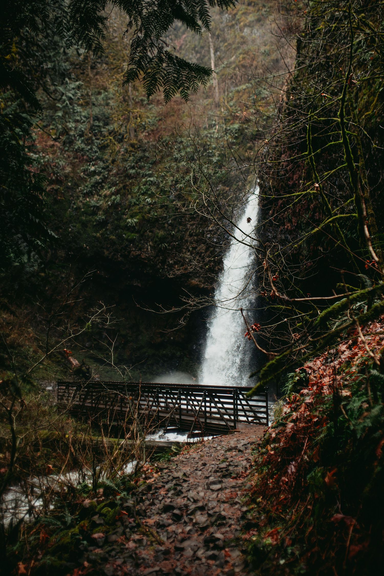 Laturell Falls, Oregon