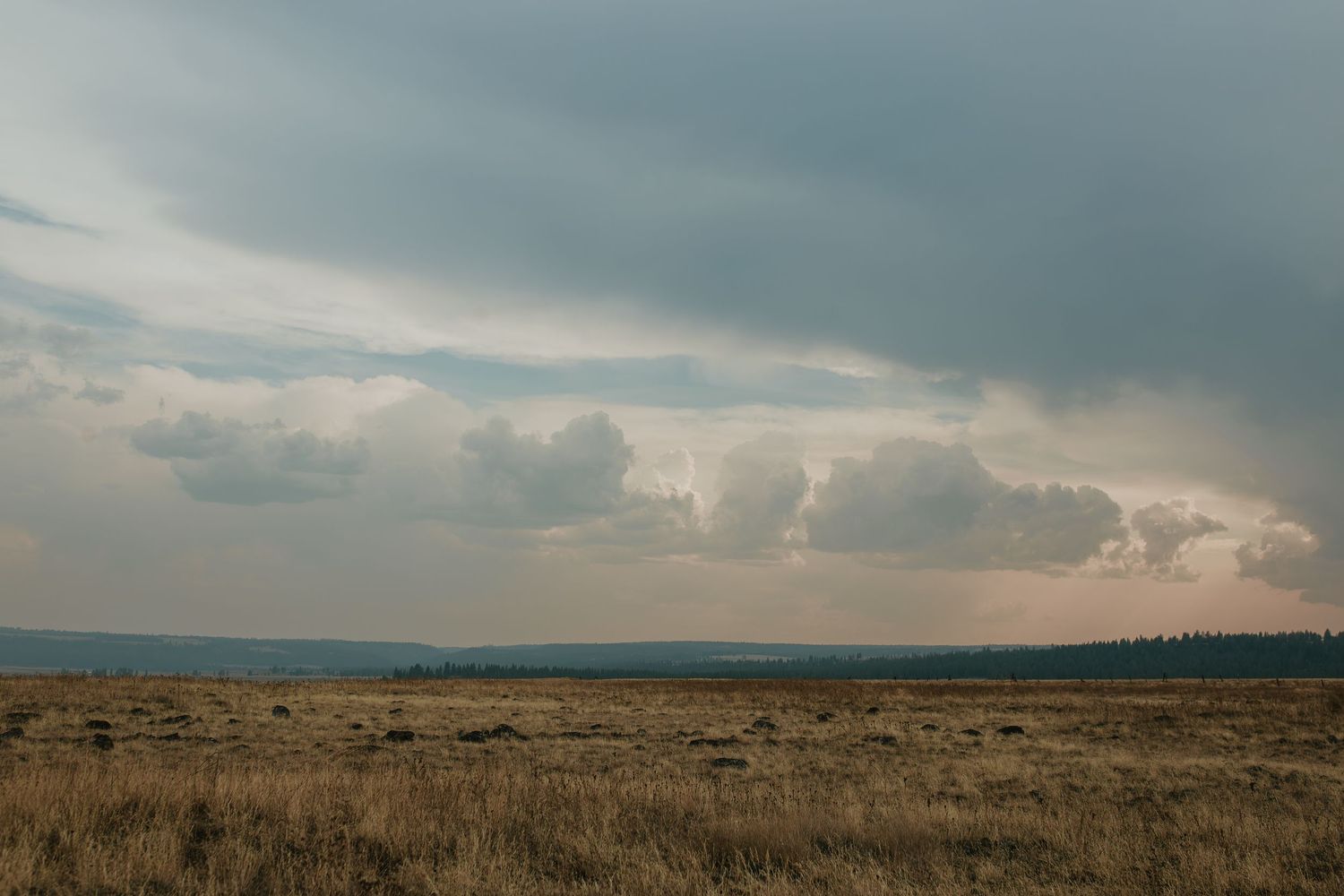 Eastern Oregon elopement