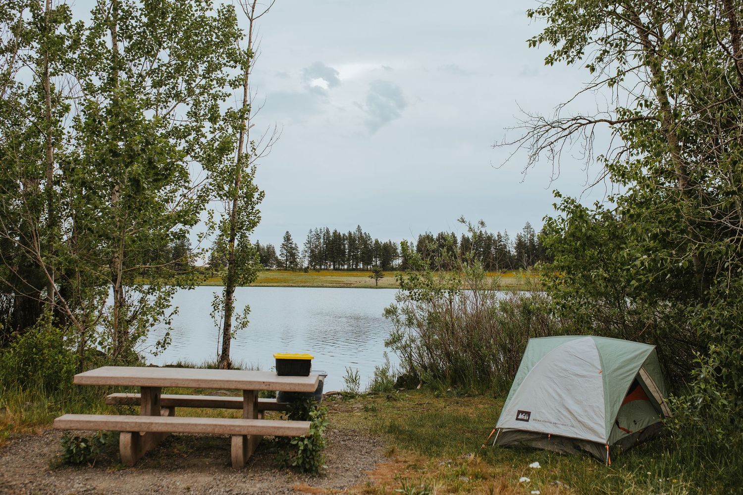 A camping tent and wooden picnic table sit on the grassy shore of a serene lake surrounded by trees.