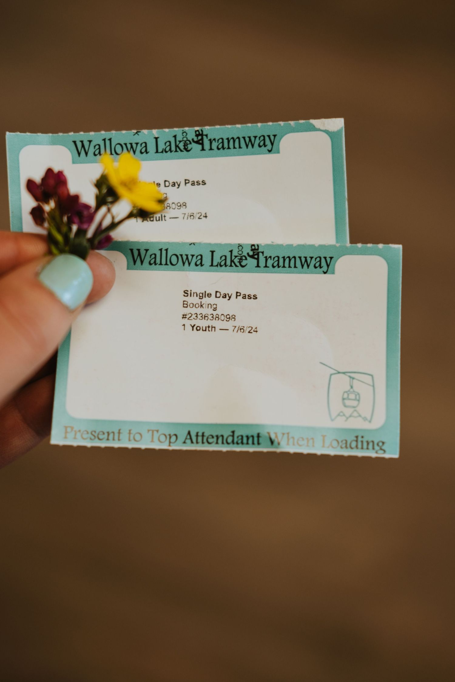 Close-up shots of multiple admission tickets to the Wallowa Lake Tramway with blurred background showing partial text details.