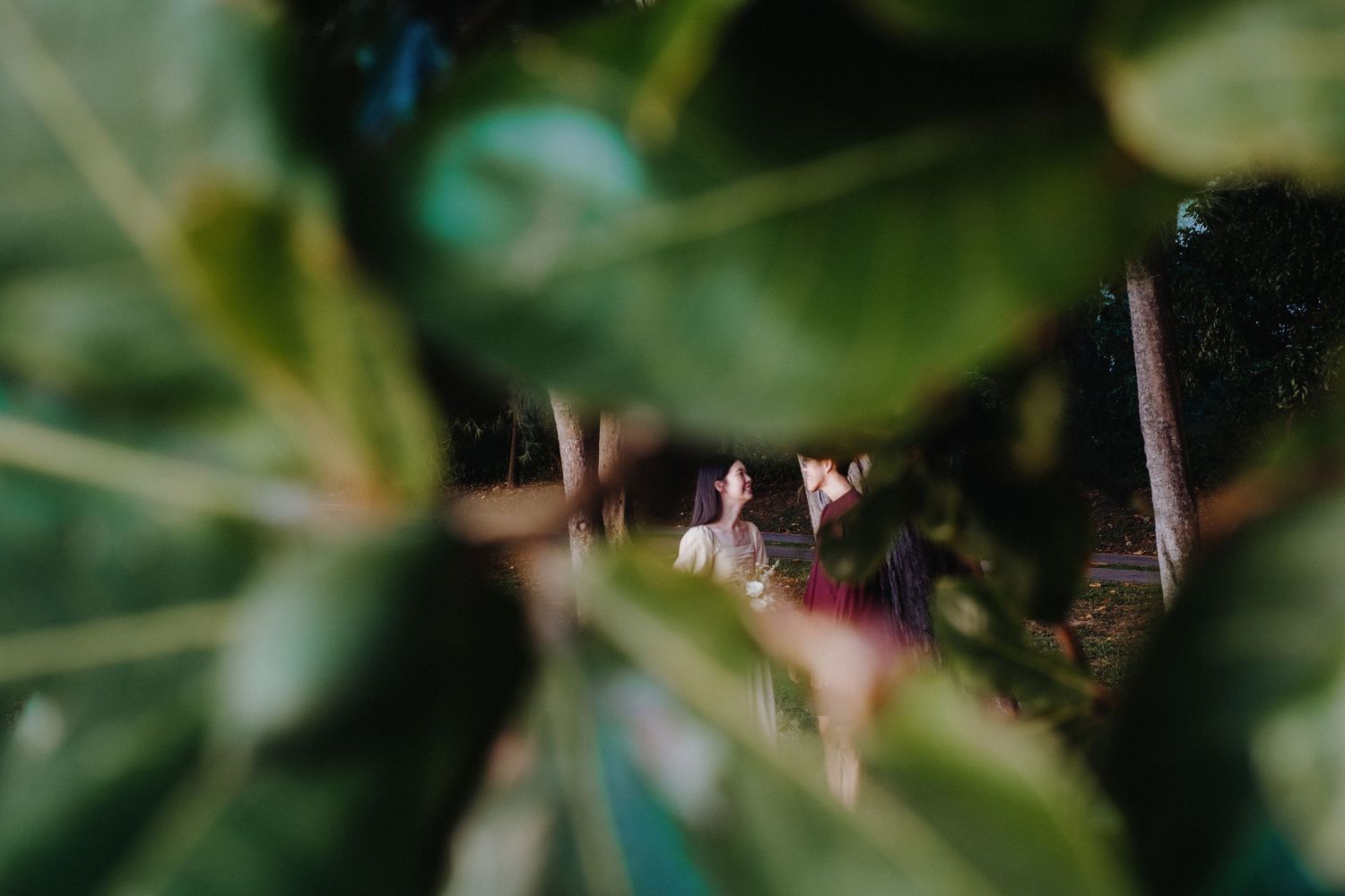 Abstract blurred green foliage and bokeh background creating natural texture and pattern.