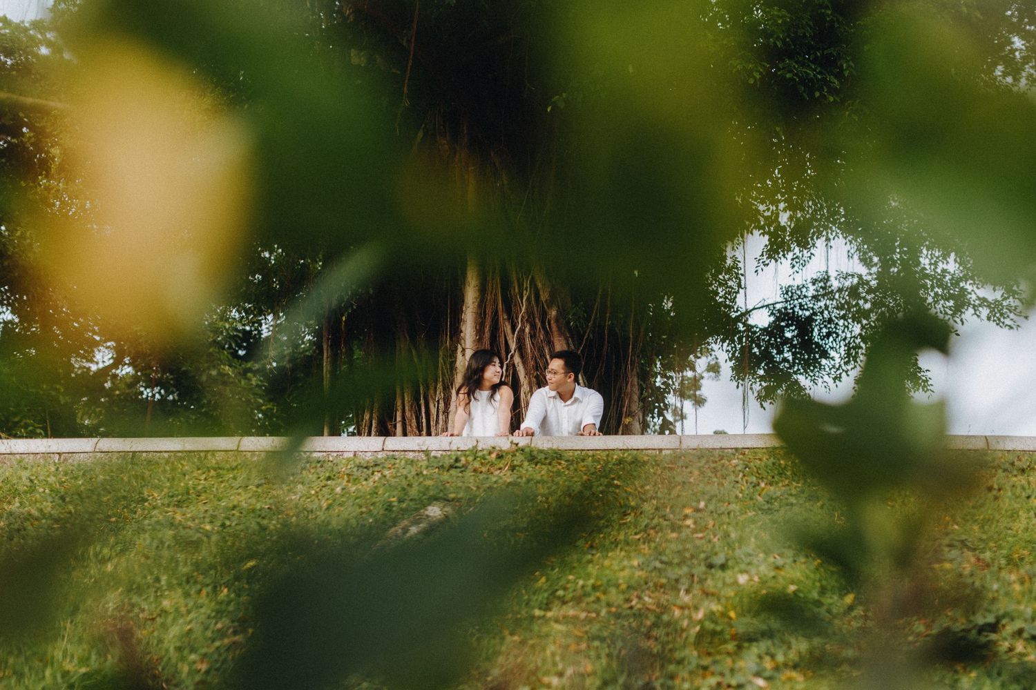 A tranquil outdoor wedding setting framed by hanging branches and soft sunlight in the background.