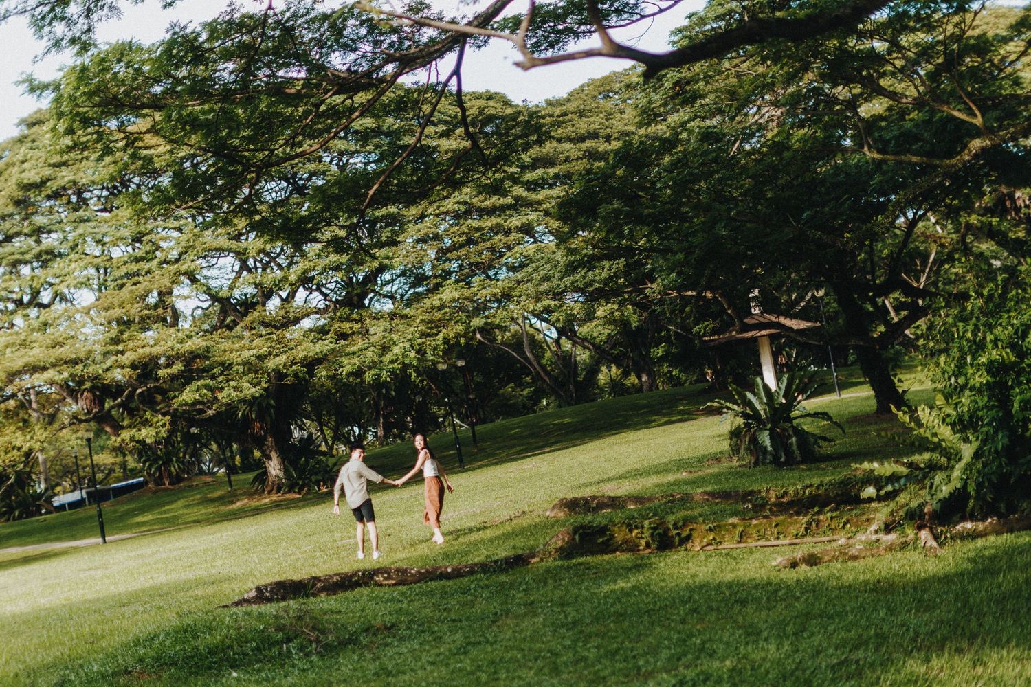 Two people walk hand in hand along a scenic path under a large tree canopy in a lush green park setting.
