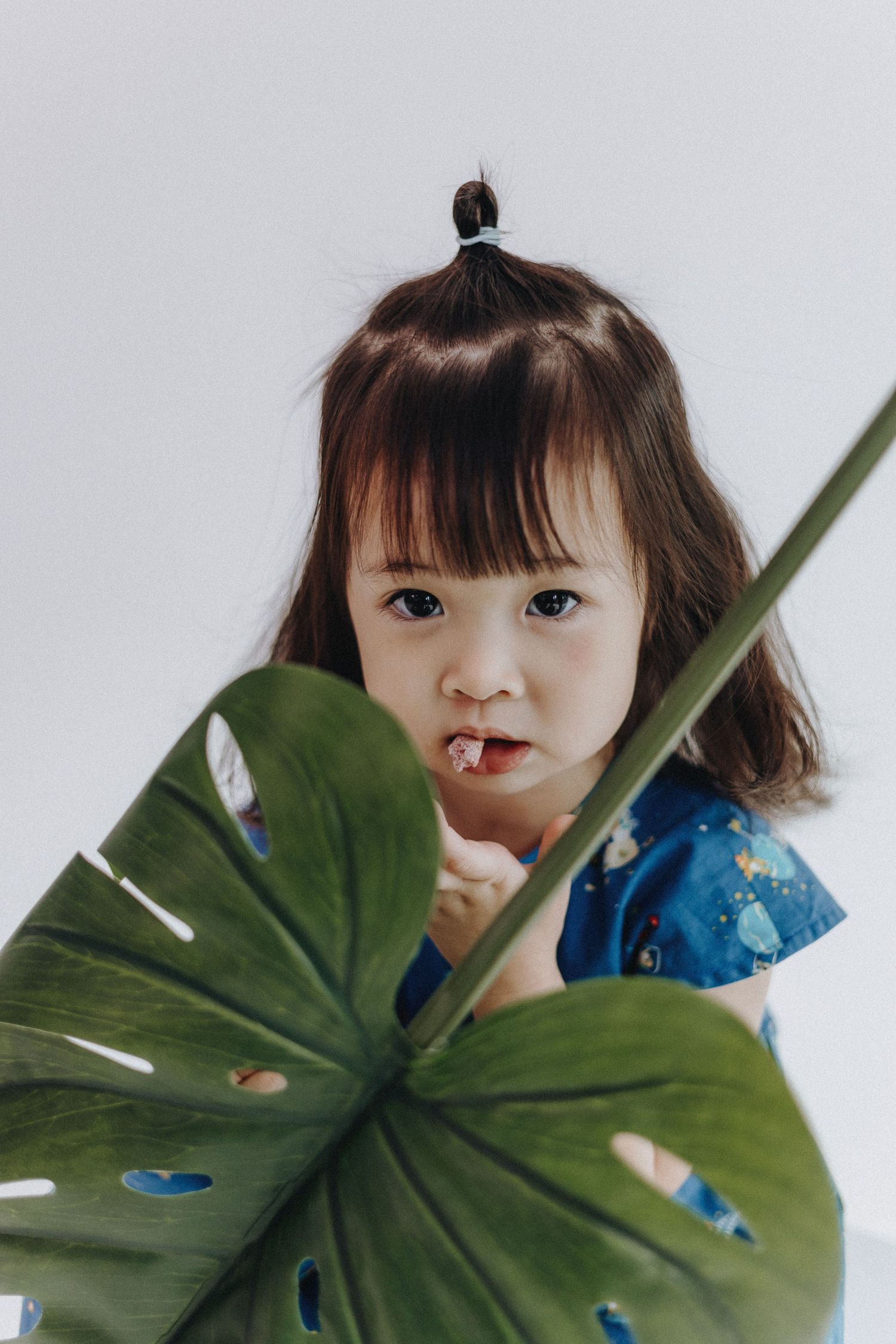 A decorative scene featuring a large tropical monstera leaf in a bright studio setting.