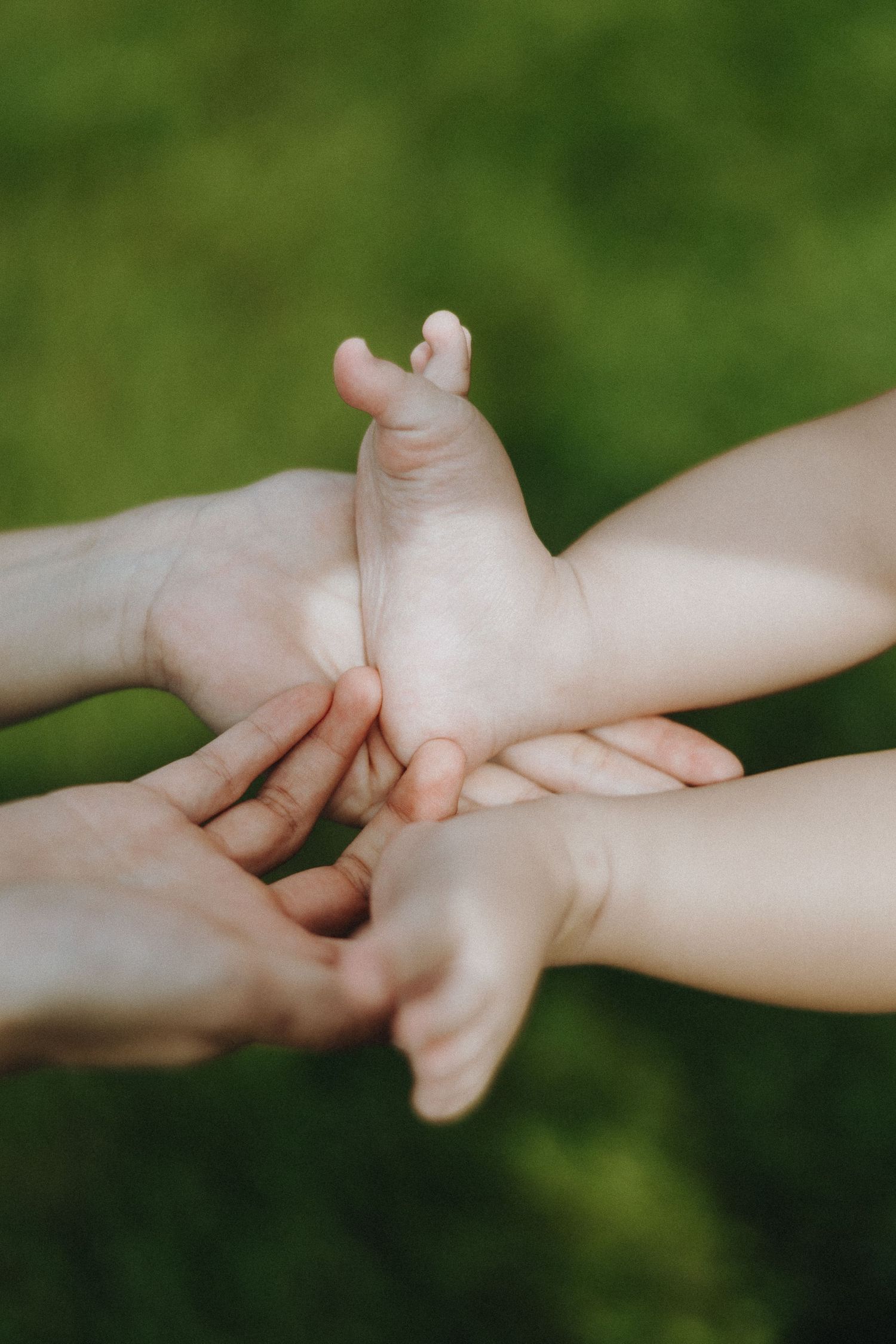 Close-up view of small child's hands being gently held by adult hands against a blurred green background.