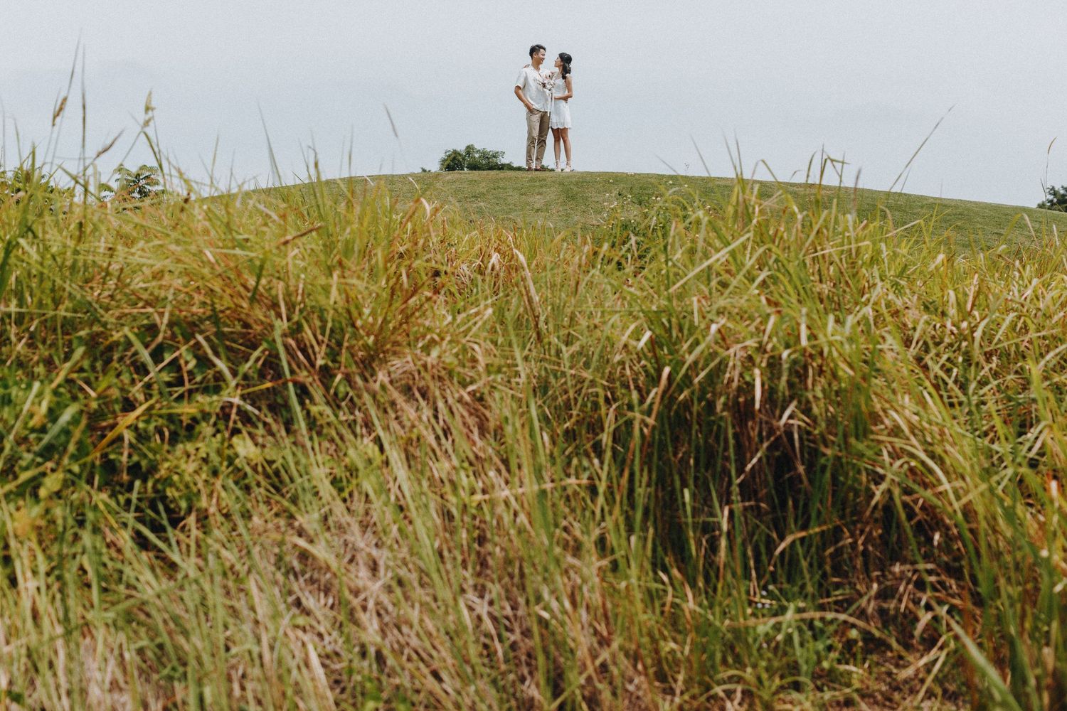 Two people stand together on a grassy hill surrounded by wild meadow grass.