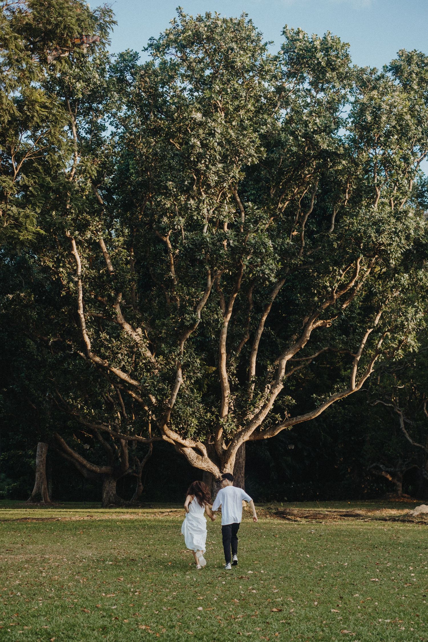Couple walking together under large tree in park.