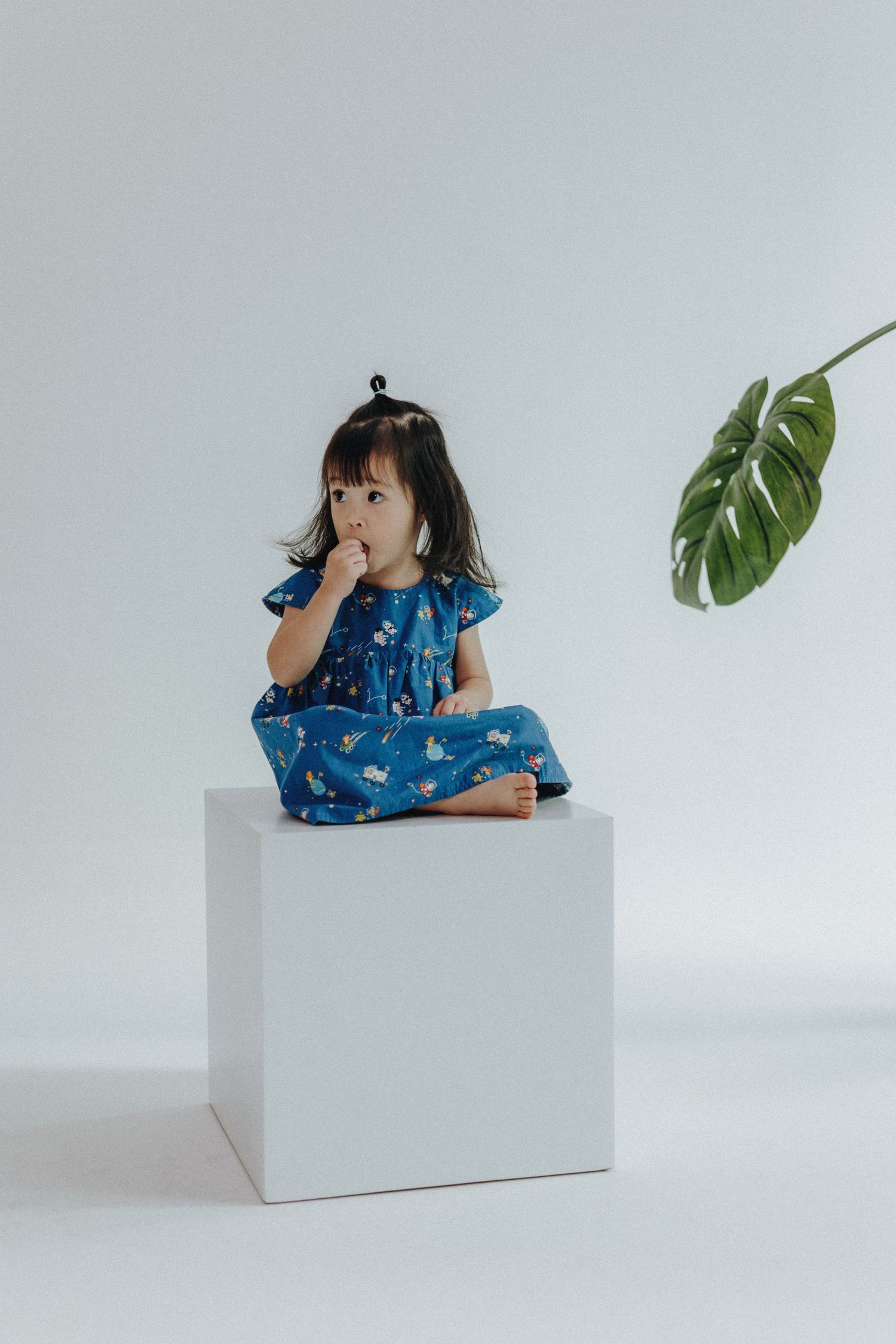 Child in blue floral dress sits on white cube with tropical leaf in minimalist setting.