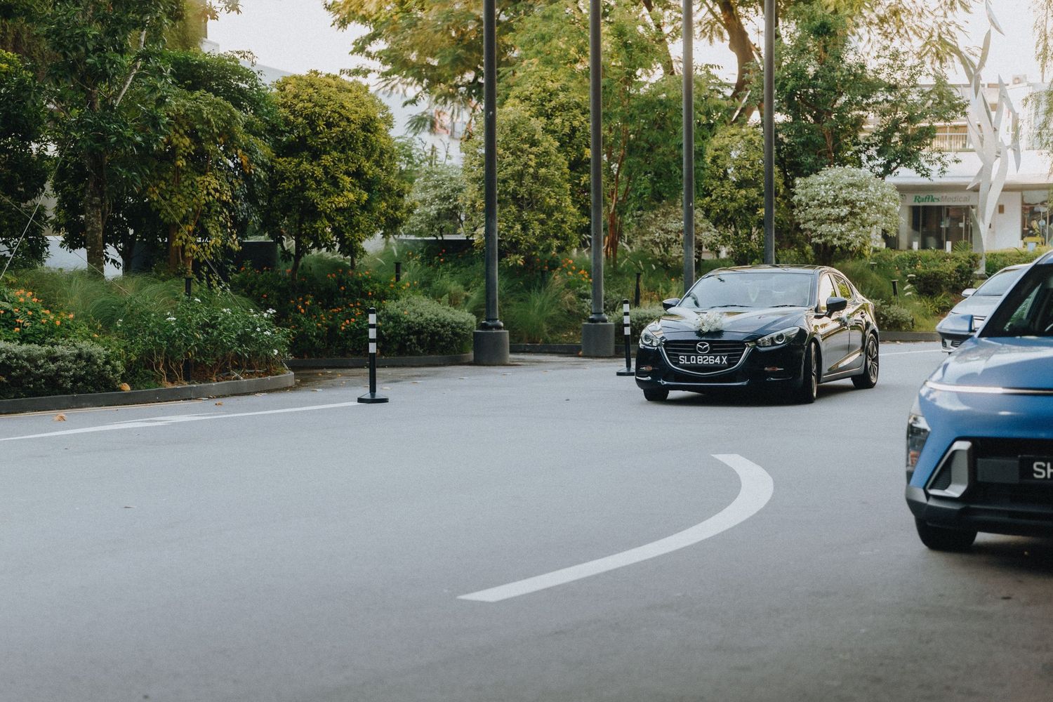 A sleek black BMW sedan parked on a curved road with trees and greenery in the background.