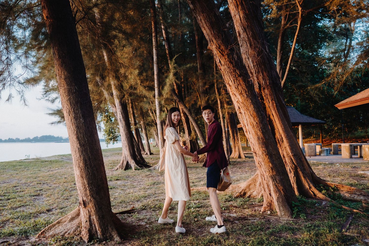 Couple enjoying a romantic sunset picnic under towering cypress trees along a coastal pathway.