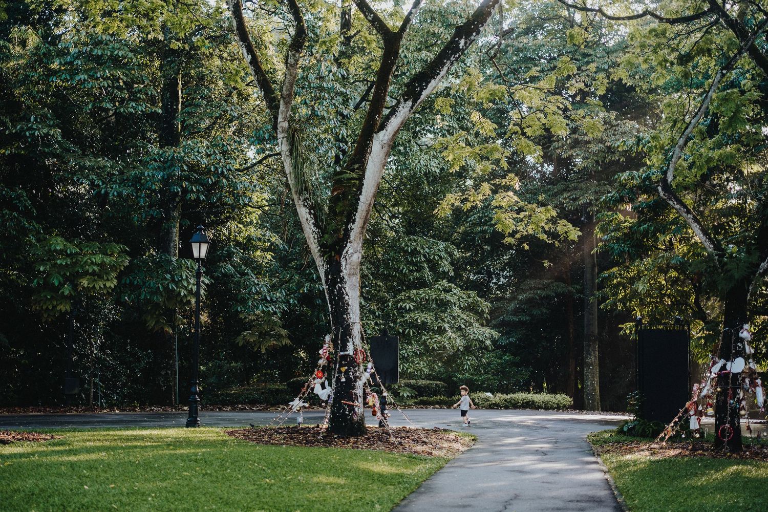 Curving paved path through a green park with large trees and people relaxing on a sunny afternoon.