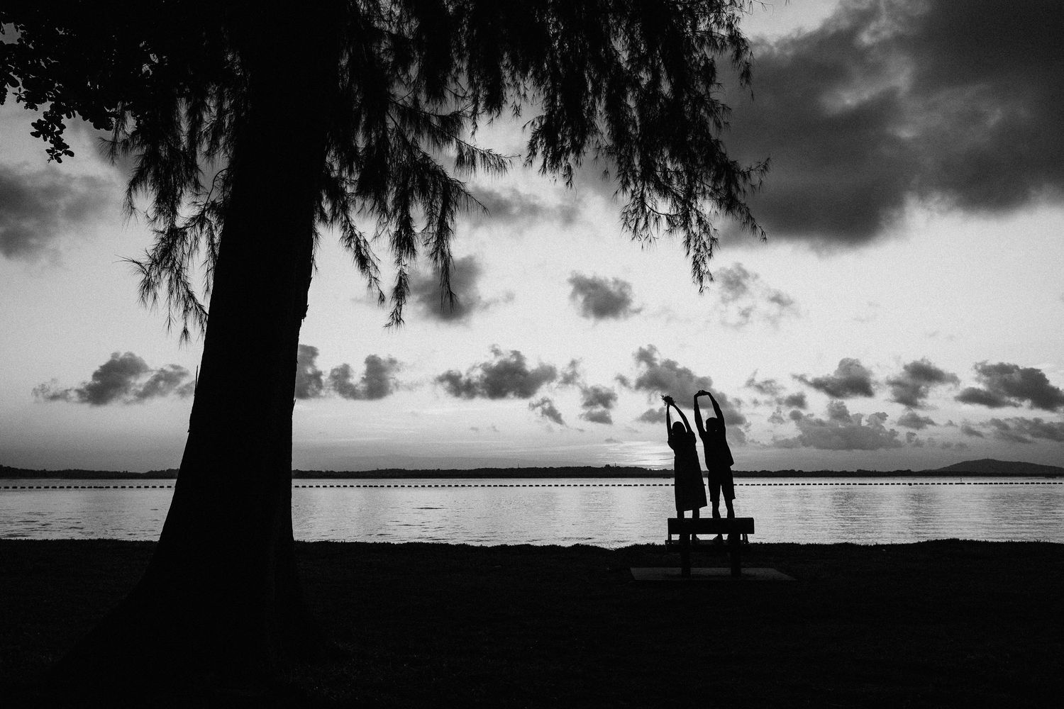 Black and white silhouettes of figures under trees against a moody evening sky at sunset.