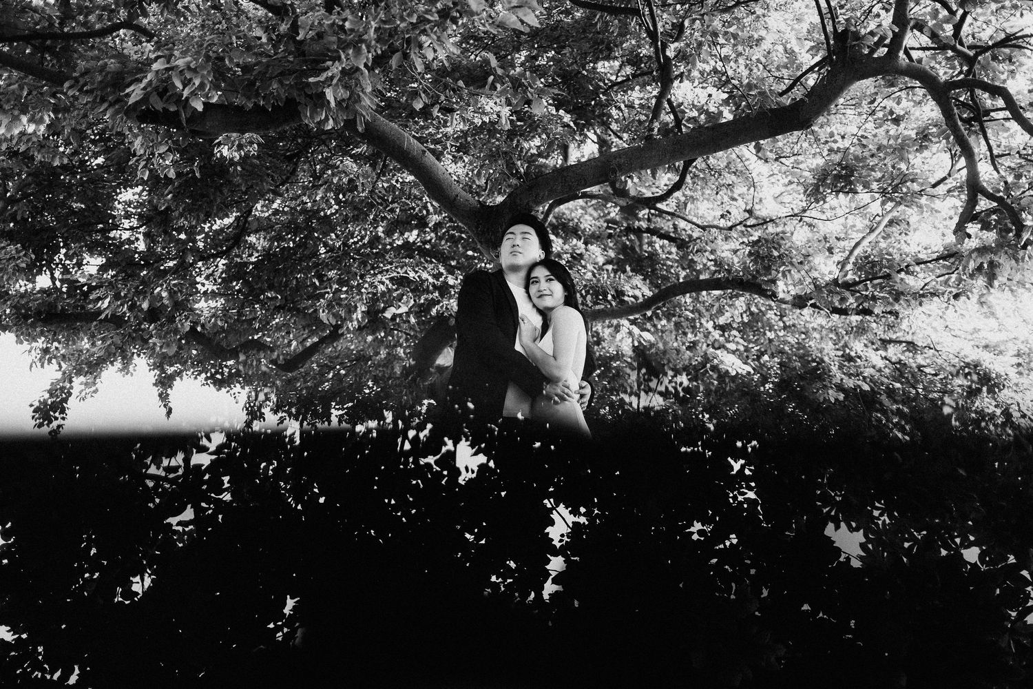 Silhouette of tree branches creating a dramatic black and white composition.