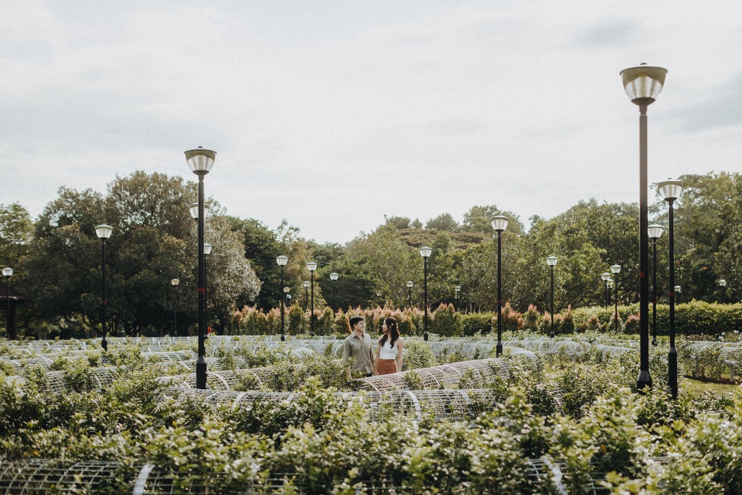Garden park with lamp posts and blooming flowers surrounded by leafy trees under cloudy skies.