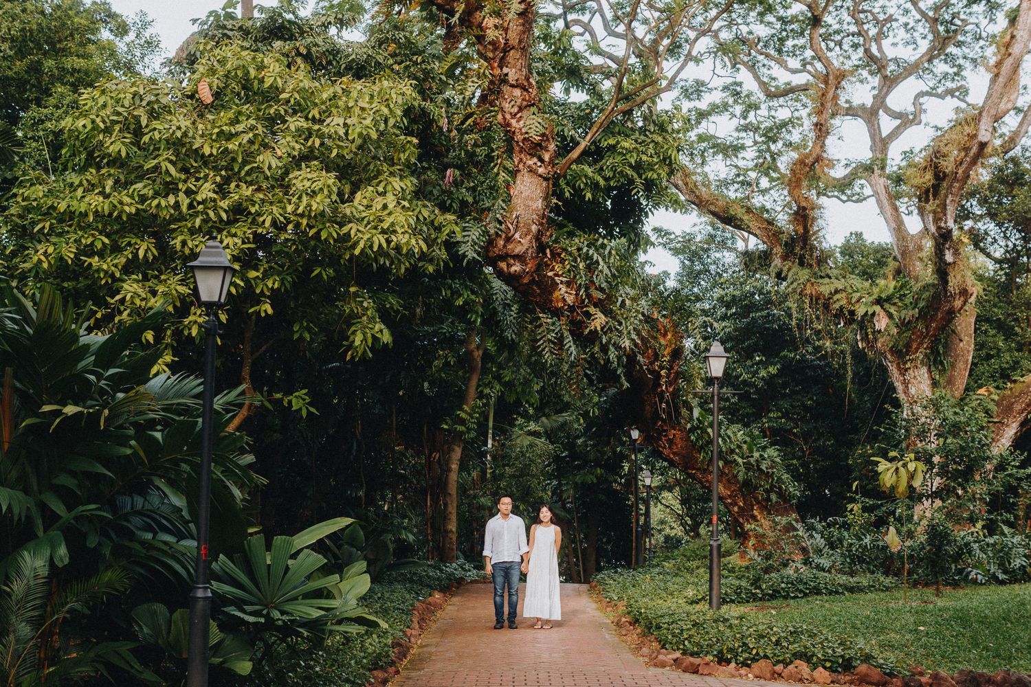 Tree-lined garden pathway with a couple walking together in the distance.