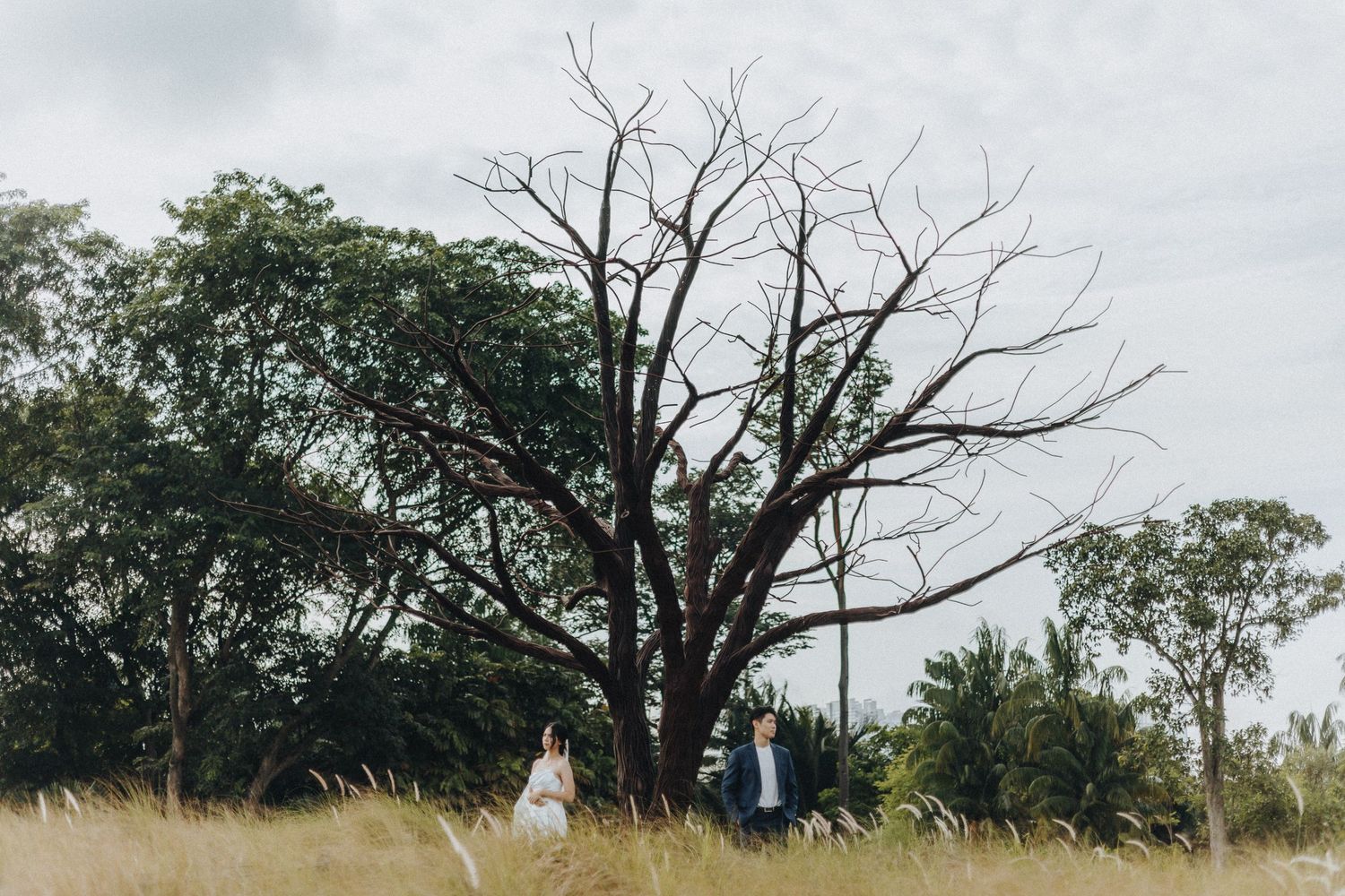 A couple poses in a field beneath a large bare tree against an overcast sky.