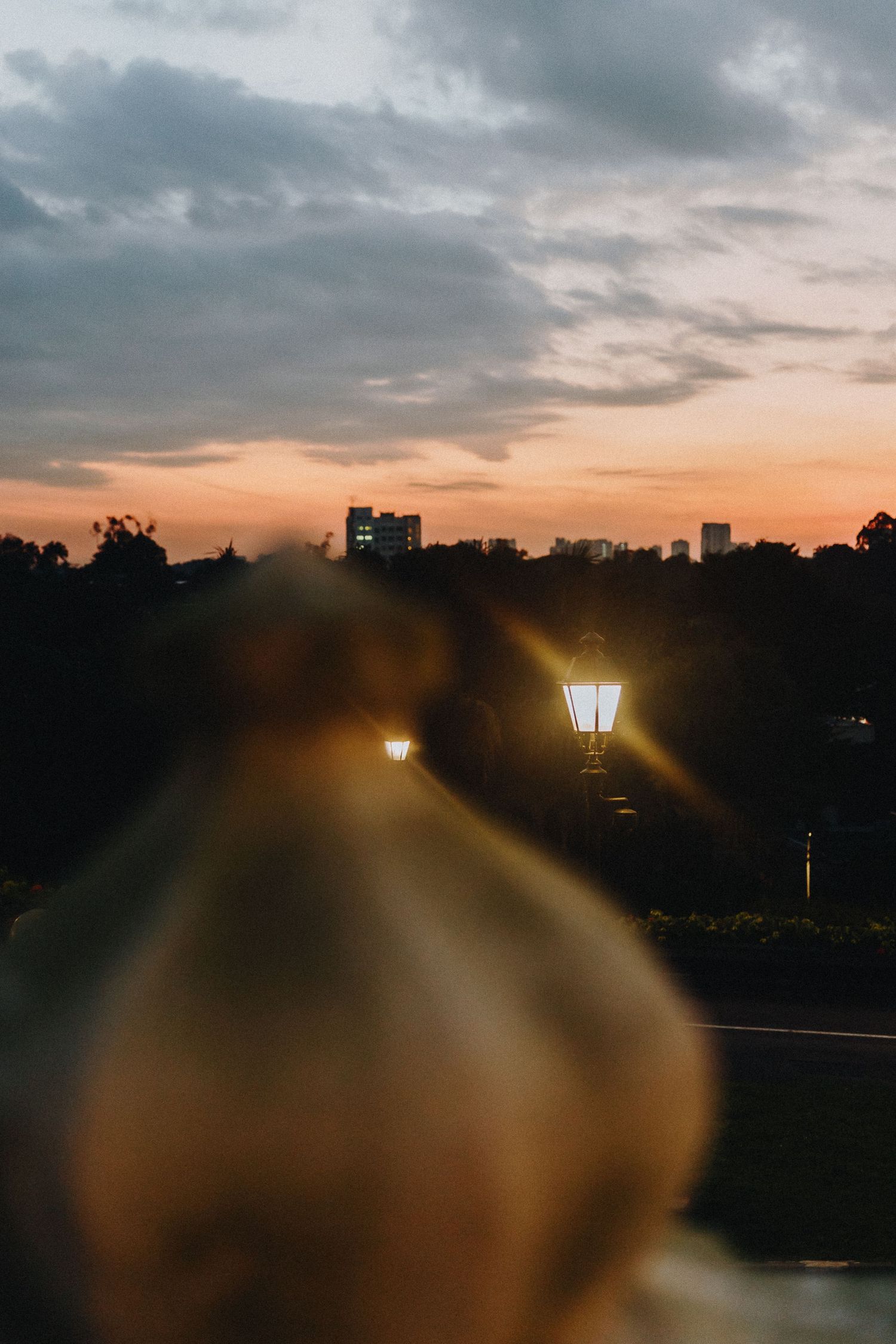 Moody cityscape silhouette at sunset with street lamps glowing through a blurred foreground.
