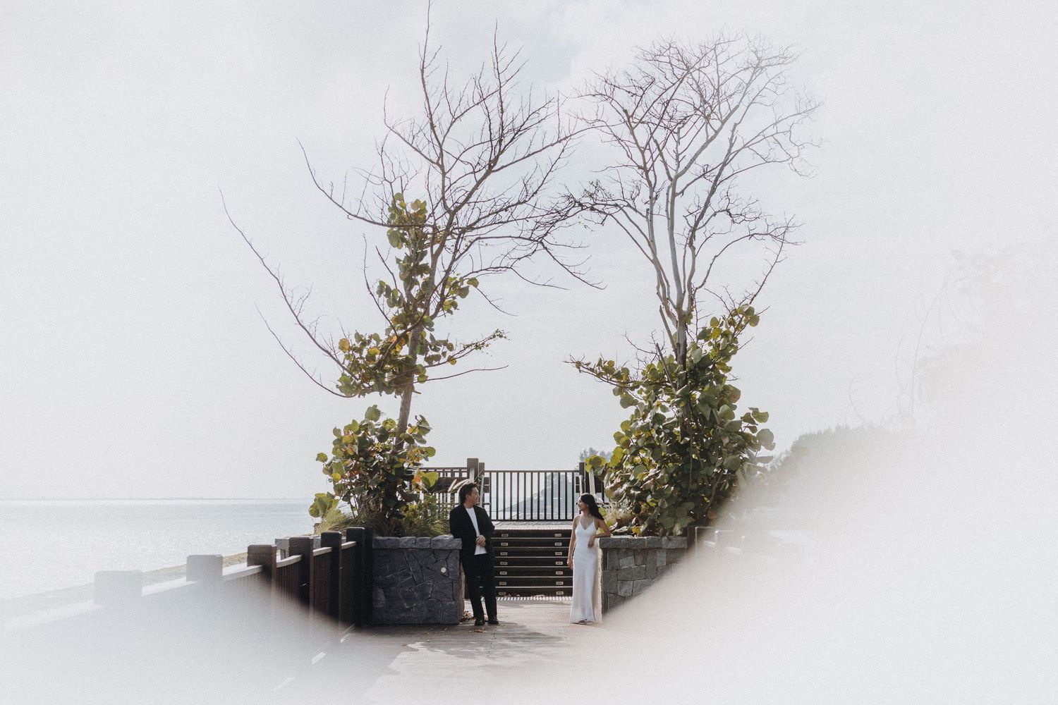 A minimalist white-toned photograph of an elevated wooden walkway with railings and trees.
