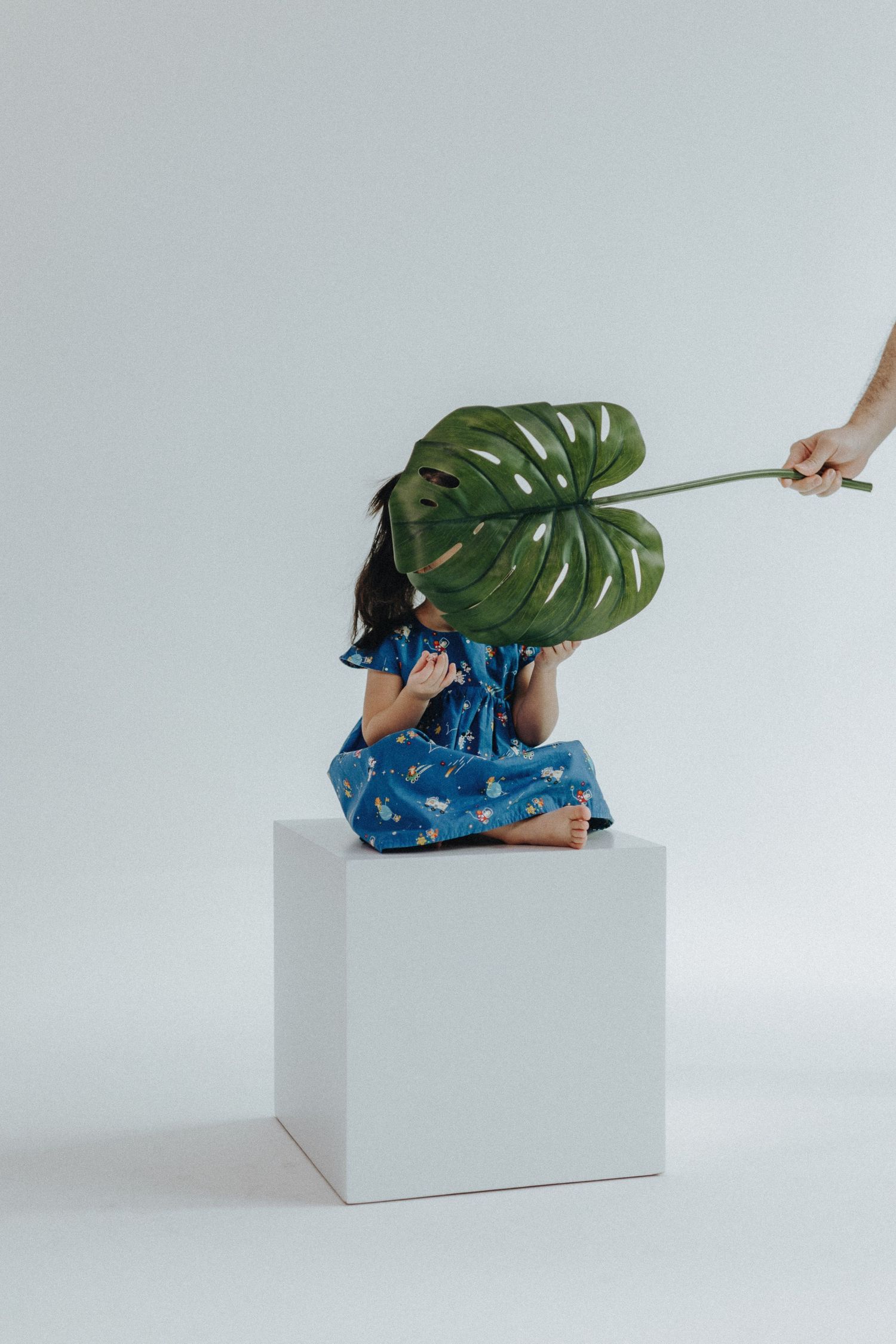 Person in blue dress lies on white platform while holding large monstera leaf.