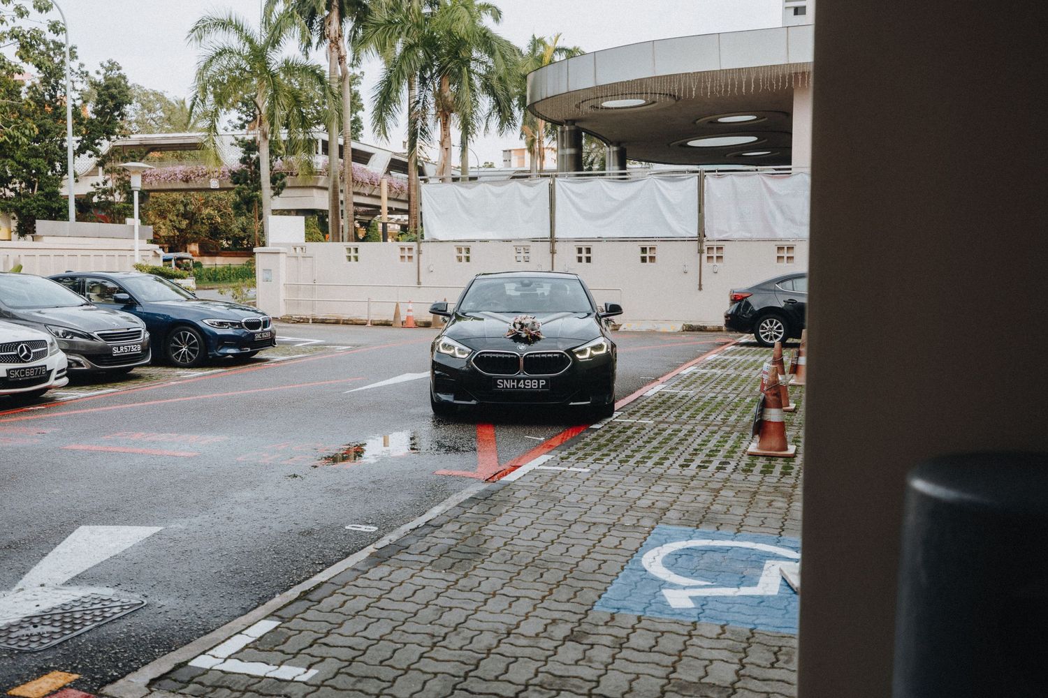 Exterior view of a parking lot with palm trees and handicap spaces.