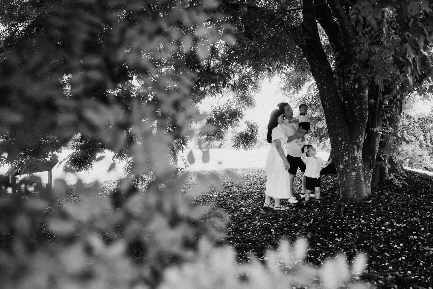 A romantic black and white photograph of a couple sharing a tender moment under a majestic tree.