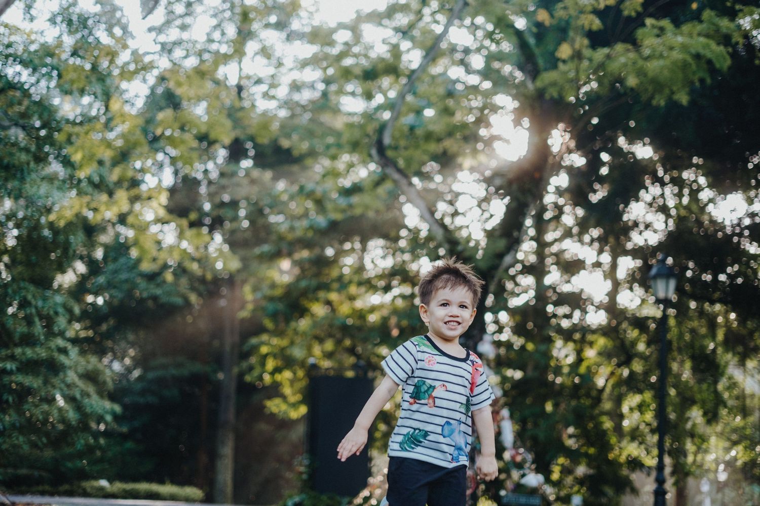 Small child in striped shirt plays outdoors in sunlit wooded area with natural greenery in background.